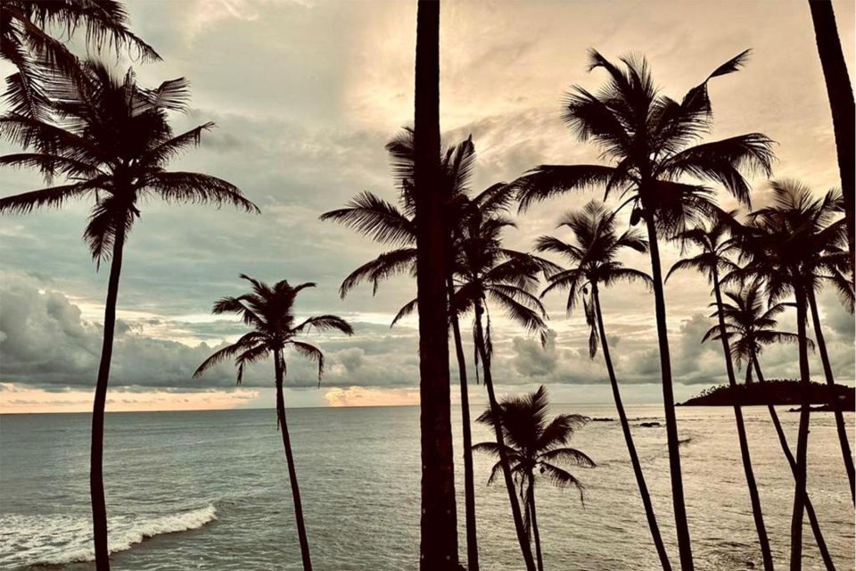Galle One Day Tour - Inclusions