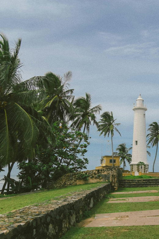 Galle Private Day Tours With Sea Turtle Visit & Boat Safari - Experience and Activities