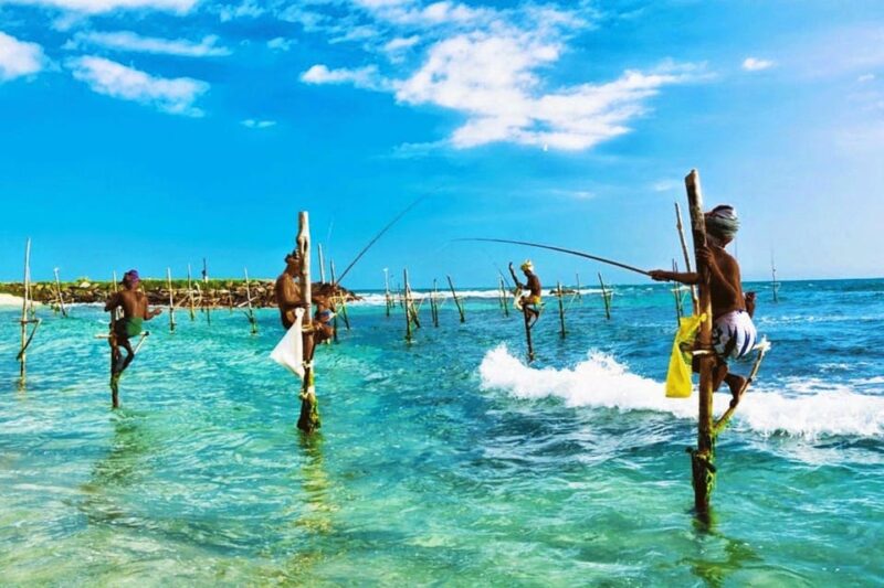 Galle Private Day Trip With River Safari & Stilt Fishermen - Transportation and Inclusions