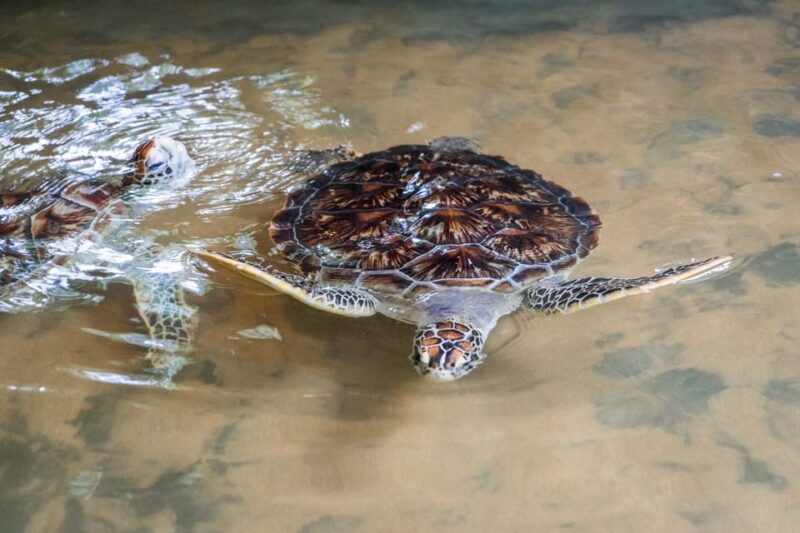 Galle Private Day Trip With River Safari & Stilt Fishermen - Explore Galle Fort