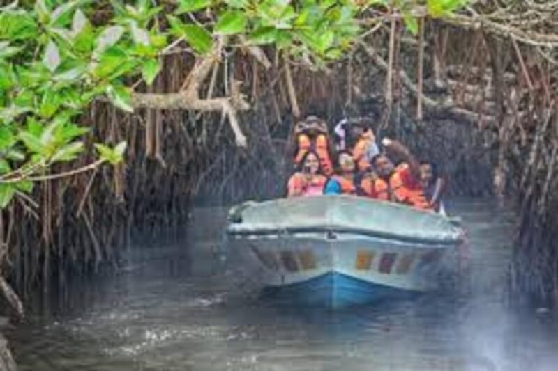 Galle Transfer Tour From Colombo/Negombo - Good To Know