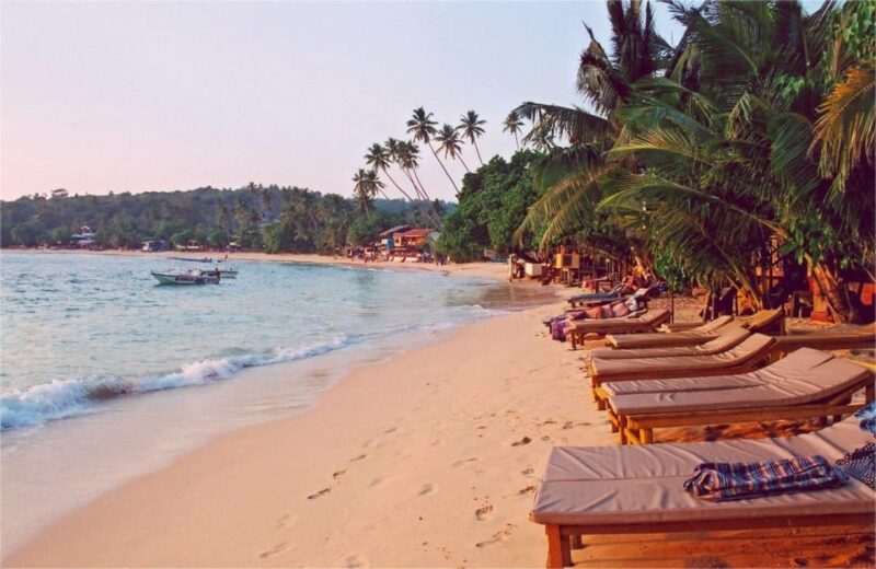 Galle Transfer Tour From Colombo/Negombo - Cultural and Historical Sites
