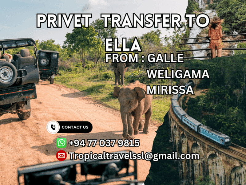 Galle/Weligama/Mirissa To Ella Via Udawalawa Elephant Safari - Good To Know