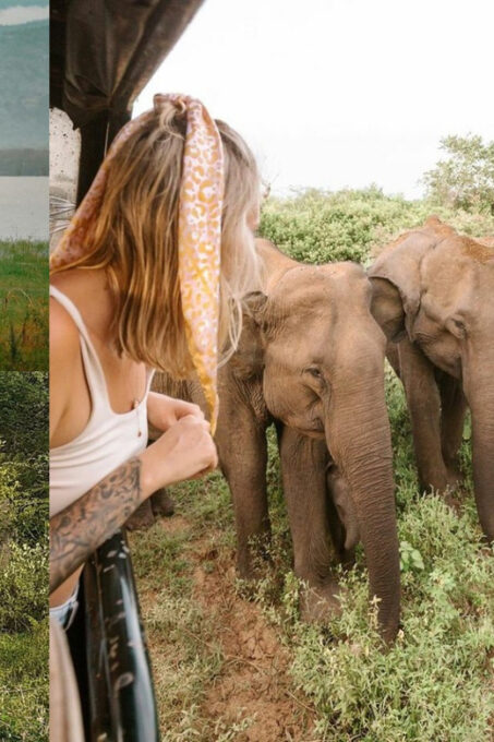 Galle/Weligama/Mirissa To Ella Via Udawalawa Elephant Safari - Frequently Asked Questions