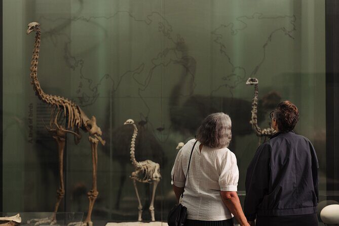 Gallery Highlights Tour and General Admission - Is the Price Worth It?