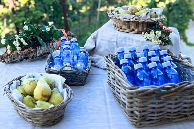 Gallura Picnic in the Farm with Animals - Who Should Consider This Tour?