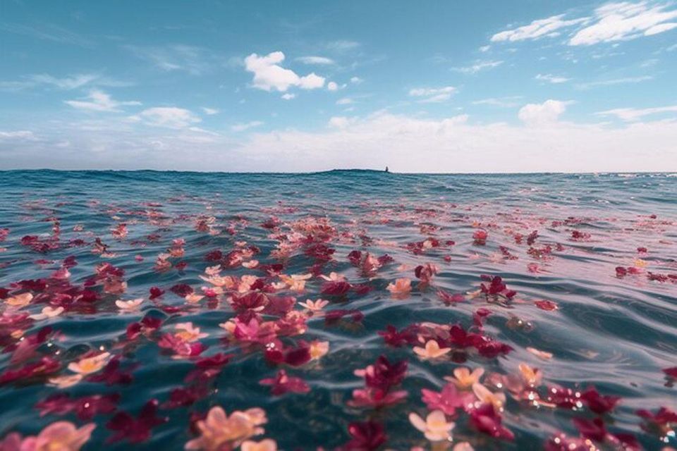 Galveston: Burial at Sea Celebration of Life Private Charter - Full Description