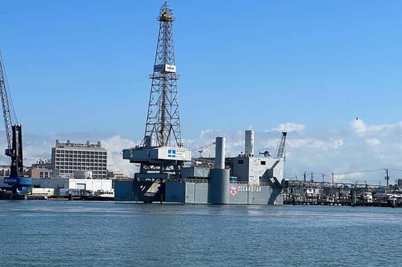 Galveston: Dolphin-Watching Cruise - Why This Tour Is Worth Considering