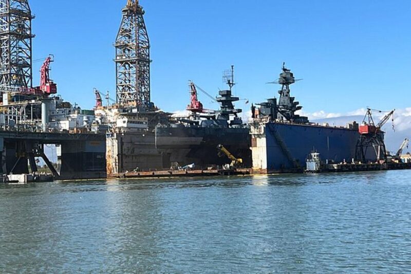 Galveston: Dolphin-Watching Cruise - FAQs