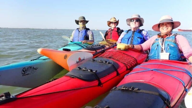 Galveston: Sea Kayaking Tour with Harbor Views - Key Points