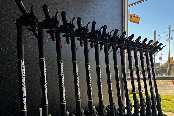 Galveston Sightseeing Self Guided Tour S2 Pro E Scooter - Detailed Itinerary and What You’ll Discover