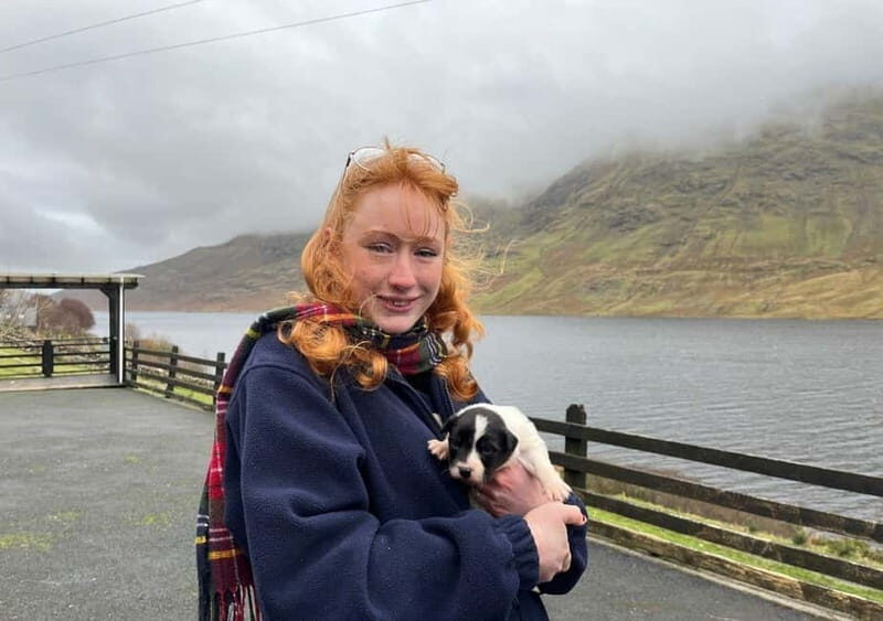 Galway: Connemara, Sheepdog Show and Medieval Castle Tour - Key Points