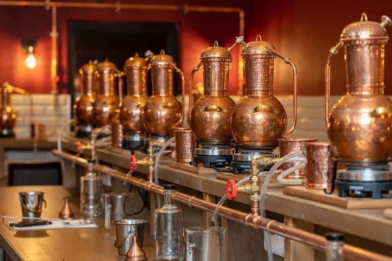 Galway: Gin School Masterclass - Key Points