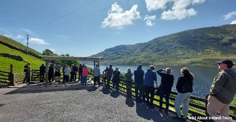Galway: Kylemore, Sheep Farm and Connemara Private Day Tour - Key Points