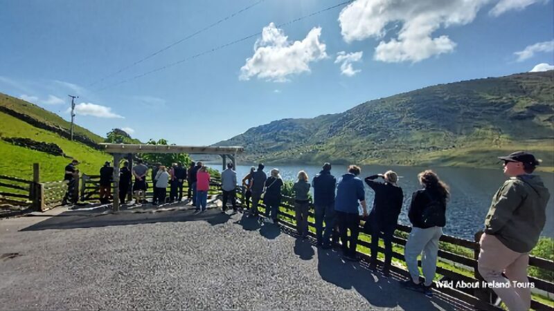 Galway: Kylemore, Sheep Farm and Connemara Private Day Tour - Scenic Drives Along the Wild Atlantic Way