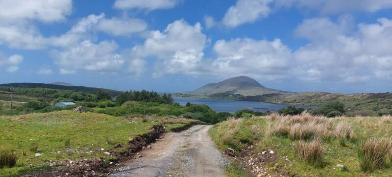 Galway: Kylemore, Sheep Farm and Connemara Private Day Tour - Who Would Love This Tour?