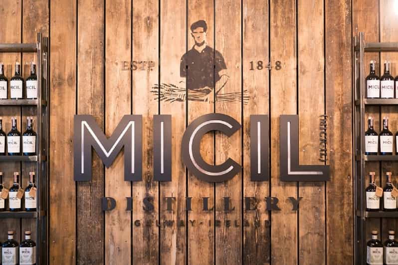 Galway: Traditional Irish Poitin & Gin Distillery Tour - Tour Experience Highlights