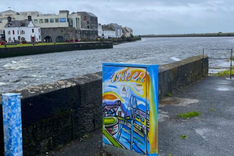 Galway: Welcome to Galway Walking Tour - Participant Information