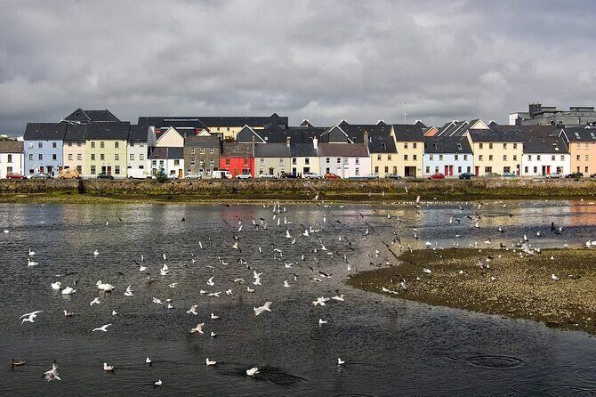 Galways Historical Gems: A Walk Through Time - The Value of a Guided Walk in Galway