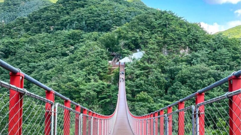 Gamaksan & Hanok Village & Jingwansa & Haneul Park - Meeting Points and Departure Options