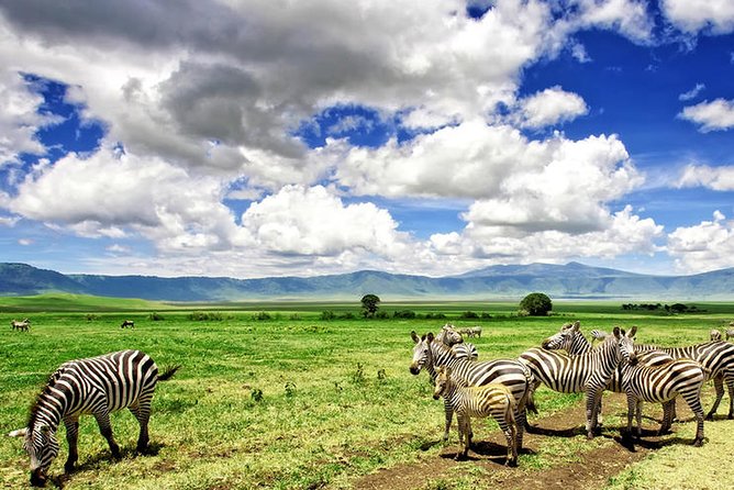 Game Drive Into the Musi Otunya National Park - Pricing and Inclusions