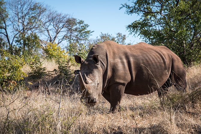 Game Drive Into the Musi Otunya National Park - Frequently Asked Questions