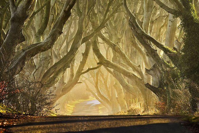 Game of Thrones - Private Audi A6 tour with Richard the Wildling - Final Thoughts: Is It Worth It?