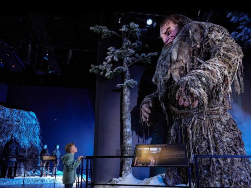 Game of Thrones Studio Tour Admission Ticket - Customer Feedback Overview