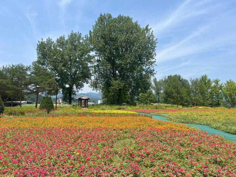 Gapyeong Day Trip : River Cruise to Walk around Jarasum - Flexibility and Schedule