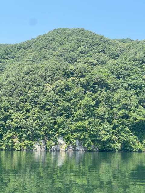 Gapyeong Day Trip : River Cruise to Walk around Jarasum - What Reviewers Say