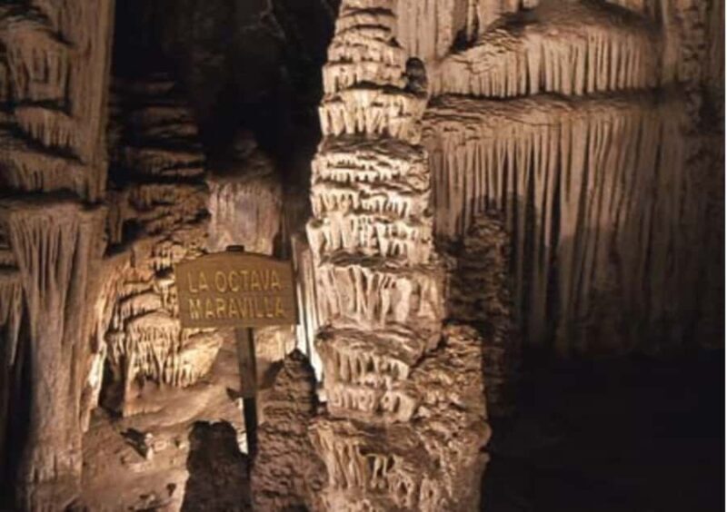 Garcia Caves Day Tour from Monterrey - What to Expect: Practical Details