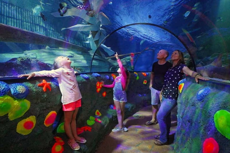 Gardaland SEA LIFE Aquarium: Open Date Entry Ticket - Exploring Gardaland SEA LIFE Aquarium: An Underwater Adventure in Veneto