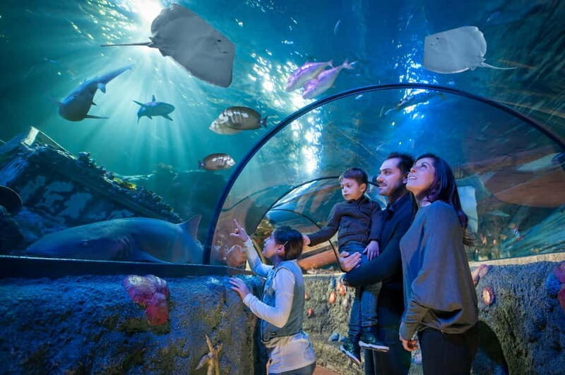 Gardaland SEA LIFE Aquarium: Open Date Entry Ticket - An In-Depth Look at Gardaland SEA LIFE Aquarium