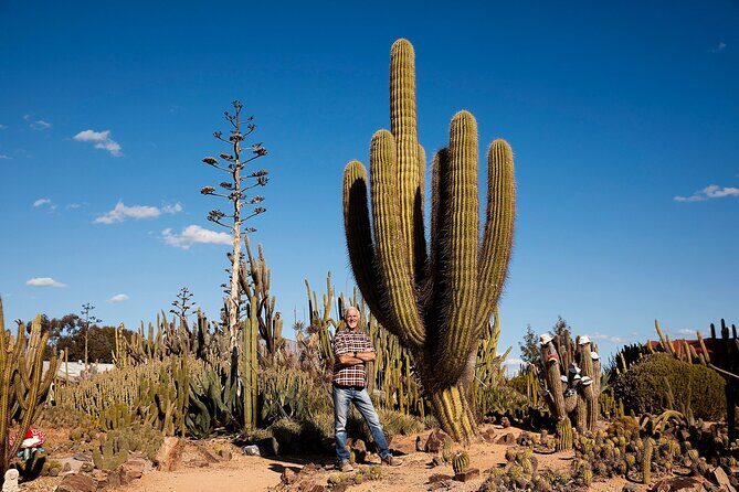 Garden Entry Ticket - Final Thoughts