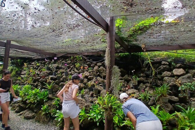 Garden of Sleeping Giant Tour with Tifajek Mud Pool and Hotspring - Introduction
