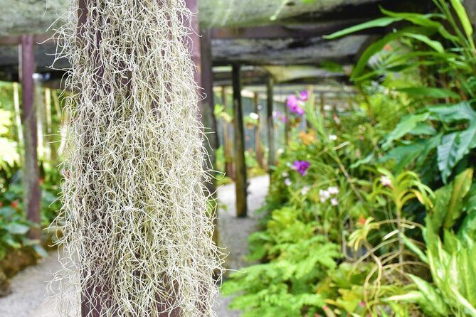 Garden of Sleeping Giant Tour with Tifajek Mud Pool and Hotspring - Who Should Consider This Tour?