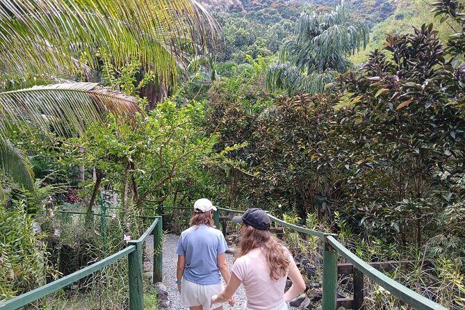 Garden of Sleeping Giant Tour with Tifajek Mud Pool and Hotspring - The Sum Up