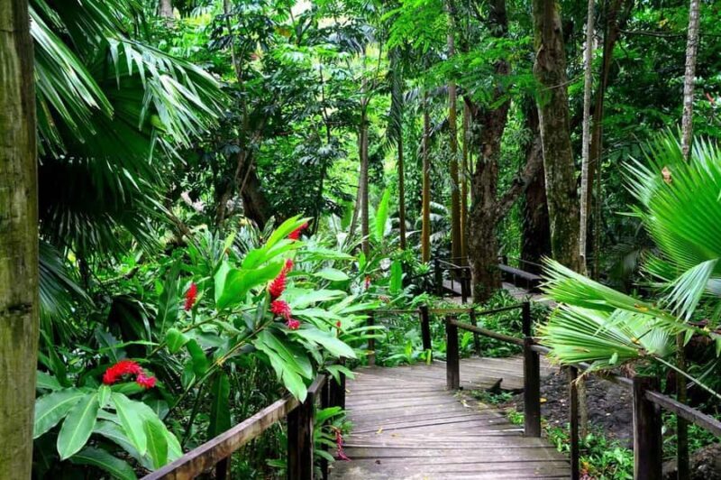 Garden of Sleeping Giant with Sabeto Hotspring Mudpool Tour - The Sum Up