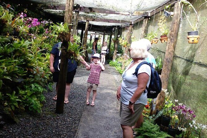 Garden of Sleeping Giant with Sabeto Hotspring Mudpool Tour - Key Points