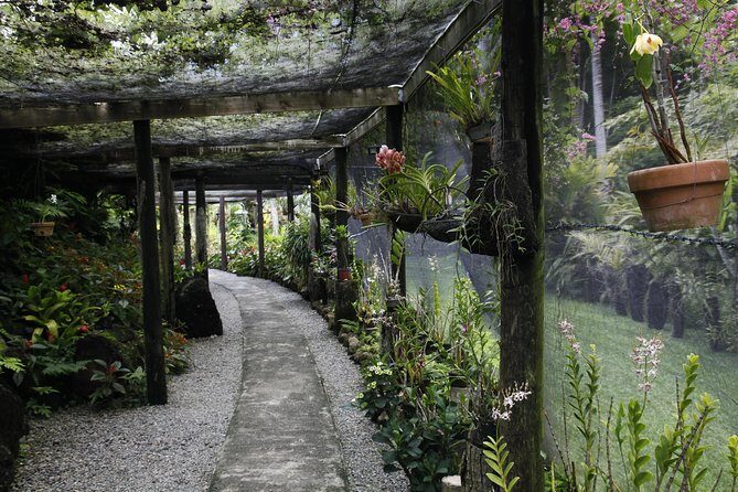 garden of the sleeping giant and mudpool tour combo - The Itinerary Unpacked