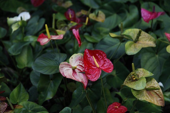 garden of the sleeping giant and mudpool tour combo - Price & Value