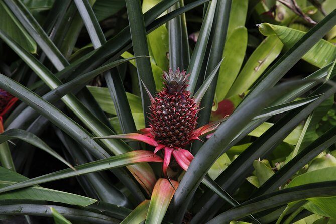 garden of the sleeping giant and mudpool tour combo - Practical Tips