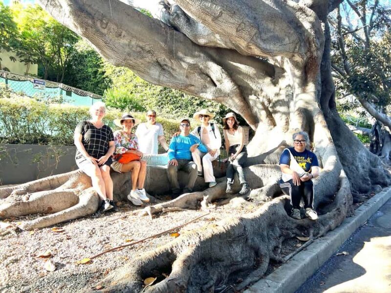 Garden Paths and Architectural Gems - What to Expect on This Santa Monica Journey