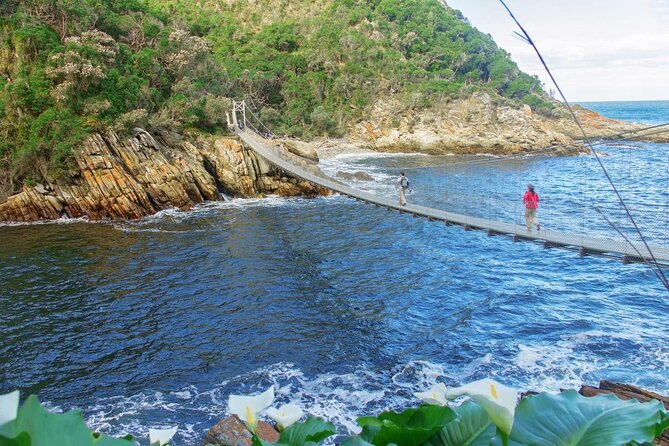 Garden Route Durban to Cape Town via Addo National Park - 7 Days - Good To Know
