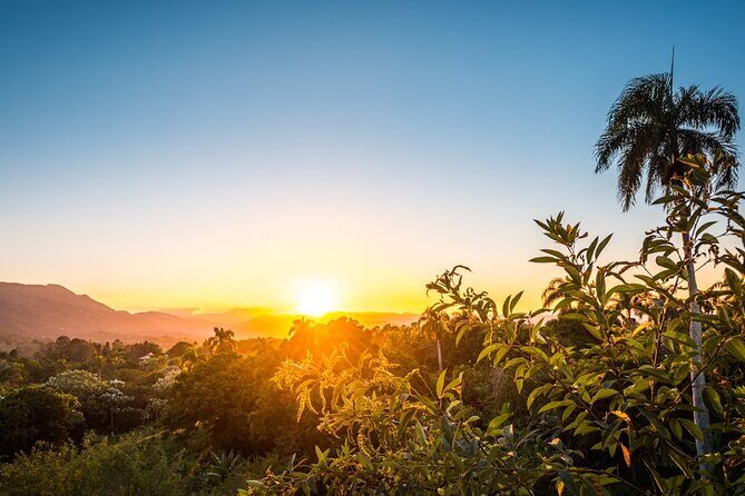 Garden Suites by Melia - Round Trip Shuttle - Punta Cana Airport - What’s Included and What’s Not