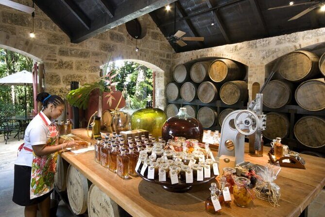 Gardens & Abbey - What to Expect from the Gardens & Abbey Tour in Barbados