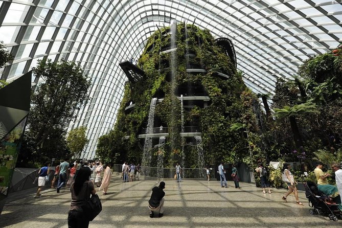 Gardens By The Bay -Flower Dome & Cloud Forest - Ticketing Information