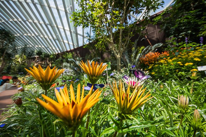 Gardens By The Bay -Flower Dome & Cloud Forest - Visitor Experiences and Feedback
