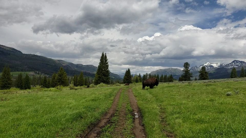 Gardiner: Yellowstone National Park Half Day Guided Hike - Booking Information