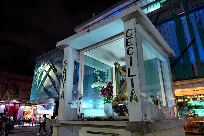 Garibaldi Nights Tour - Key Points